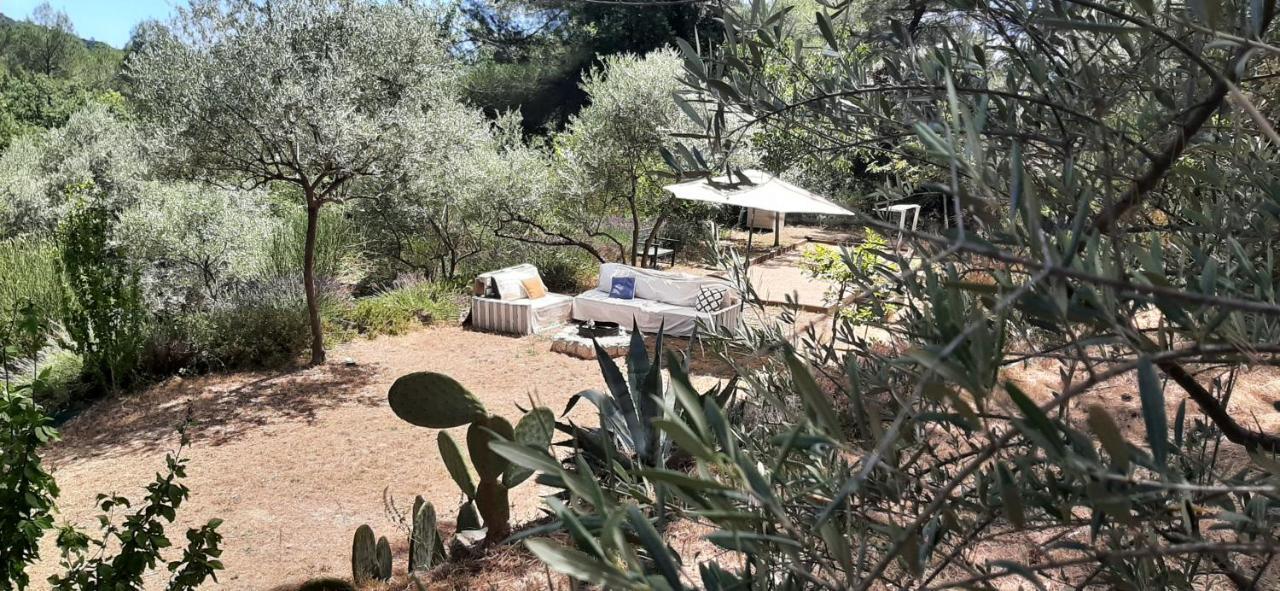 La Villa Jasmin Montauroux Buitenkant foto