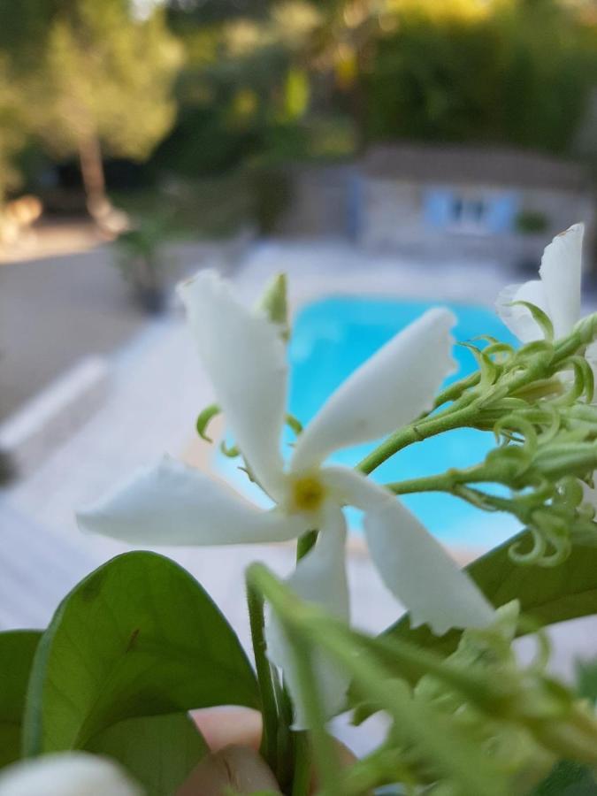 La Villa Jasmin Montauroux Buitenkant foto